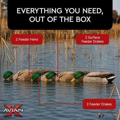 Avian X Topflight Backwater Mallards Decoys, Ultra Realistic Floating, 6 Pack