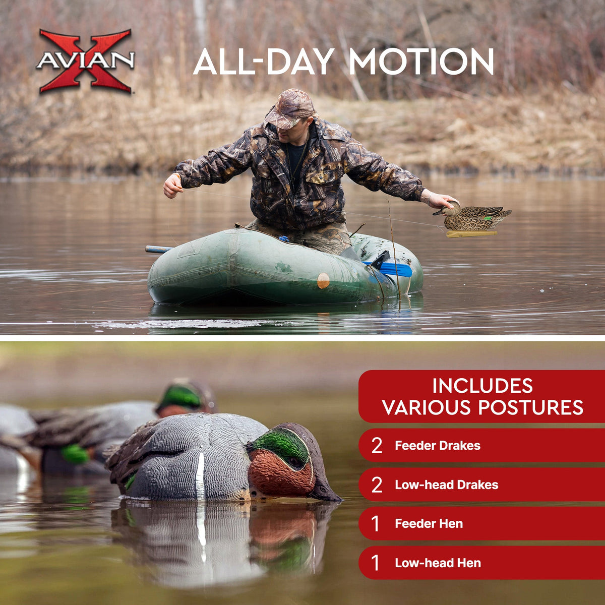 Avian X Topflight Green-Winged Teal Duck, Floating Decoys, Set of 6, Multicolor