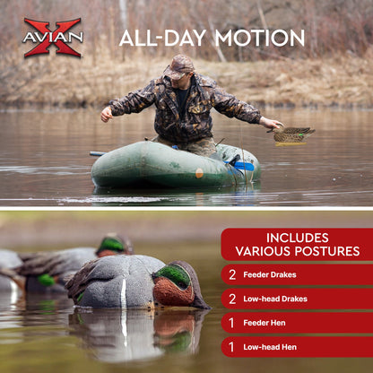 Avian X Topflight Green-Winged Teal Duck, Floating Decoys, Set of 6, Multicolor