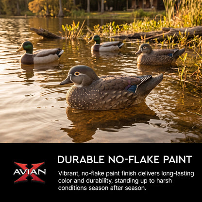 Avian X Topflight Wood Ducks, Realistic Floating Decoys, 6 Pack, Multicolor