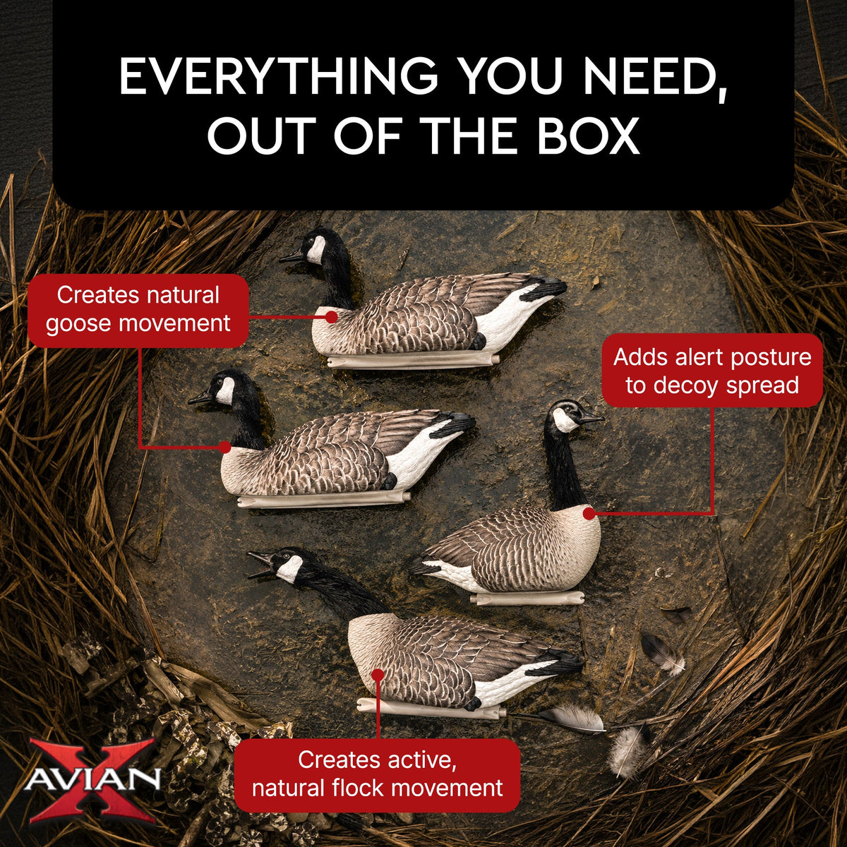Avian X Topflight Honker Floaters with True to Life Postures for Hunting Use
