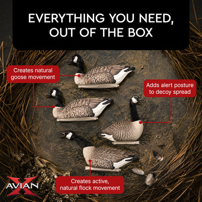 Avian X Topflight Honker Floaters with True to Life Postures for Hunting Use