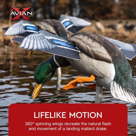 Avian X PowerFlight Mallard Weatherproof Realistic Spinning Wing Duck Decoy