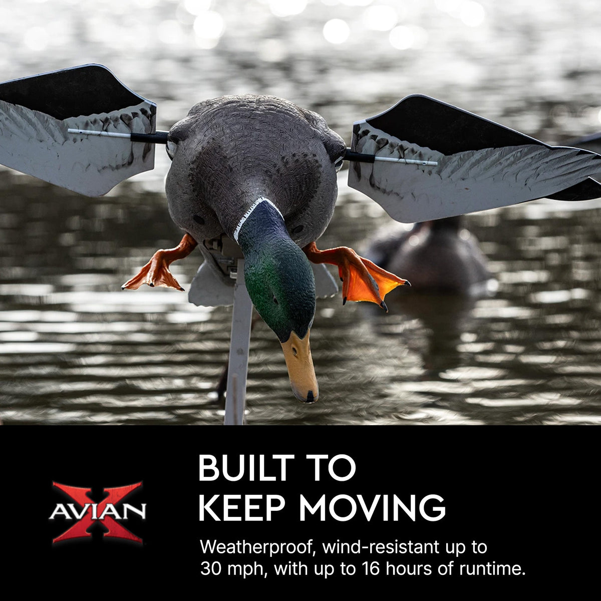 Avian X PowerFlight Mallard Weatherproof Realistic Spinning Wing Duck Decoy