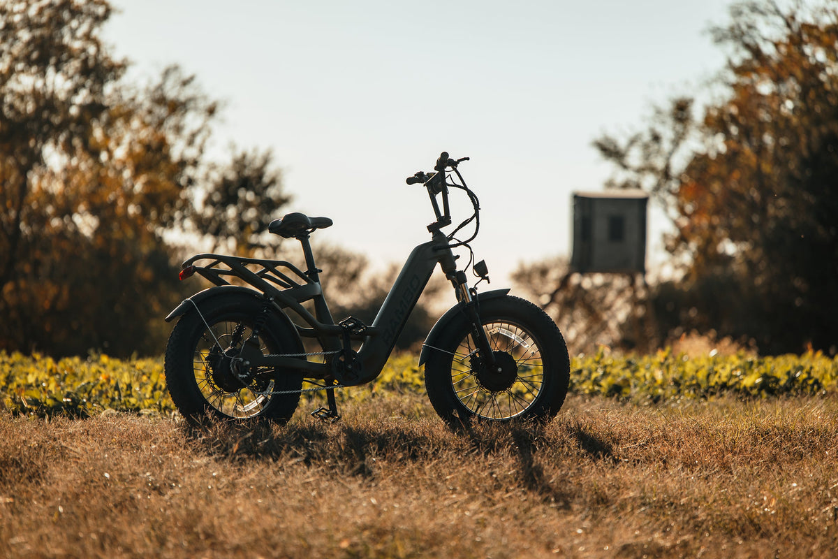 Rambo Bikes Revolt AWD Step Thru Bike