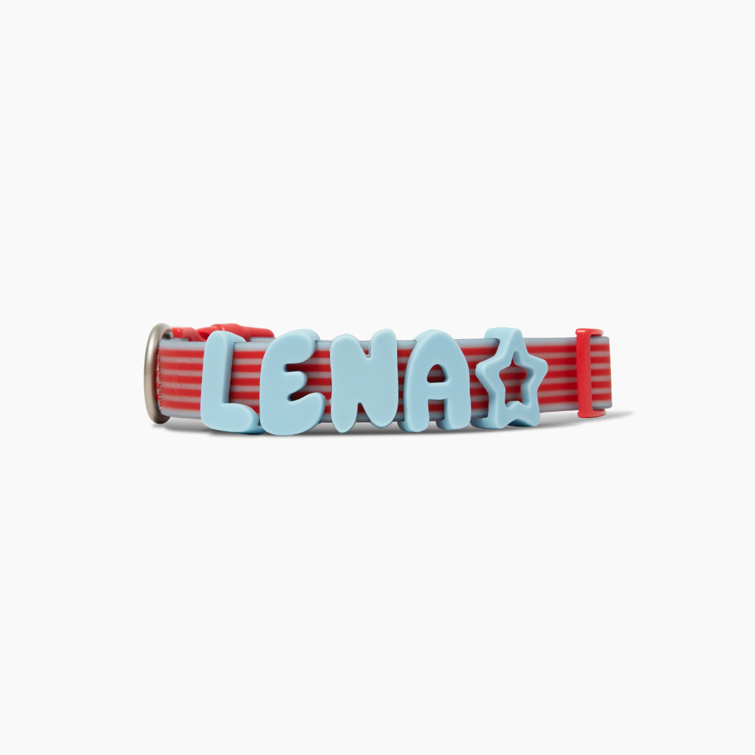 Springland Pets Waterproof Dog Collar