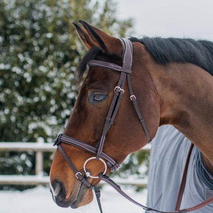 Bridles & Reins Replacement Noseband of ExionPro Fully Padded Snaffle Bridle with U Shaped Detachable Flash