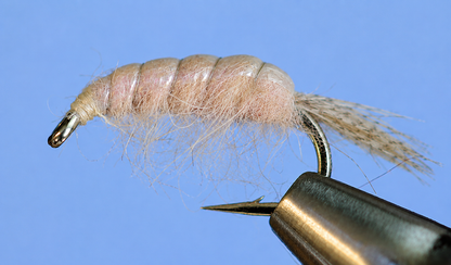 Stone Creek Molting Scuds