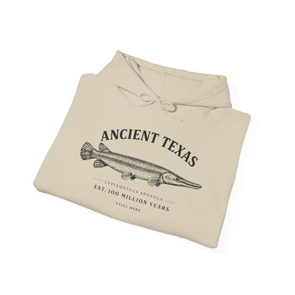 Texas Rigged Tees Ancient Texas — Unisex Hooded Sweatshirt