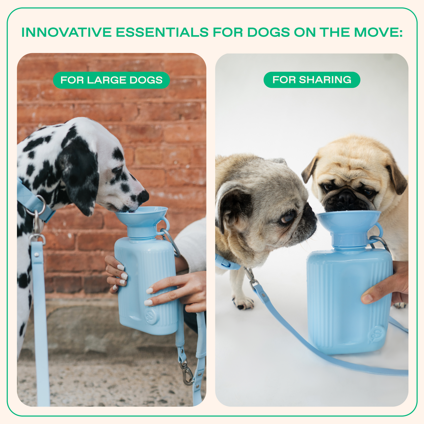 Springland Pets 44oz Original Dog Travel Water Bottle