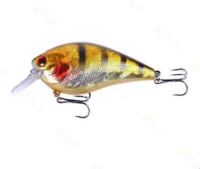 Just Lures Fishing Square Bill (0-5 ft) - Gold  Black