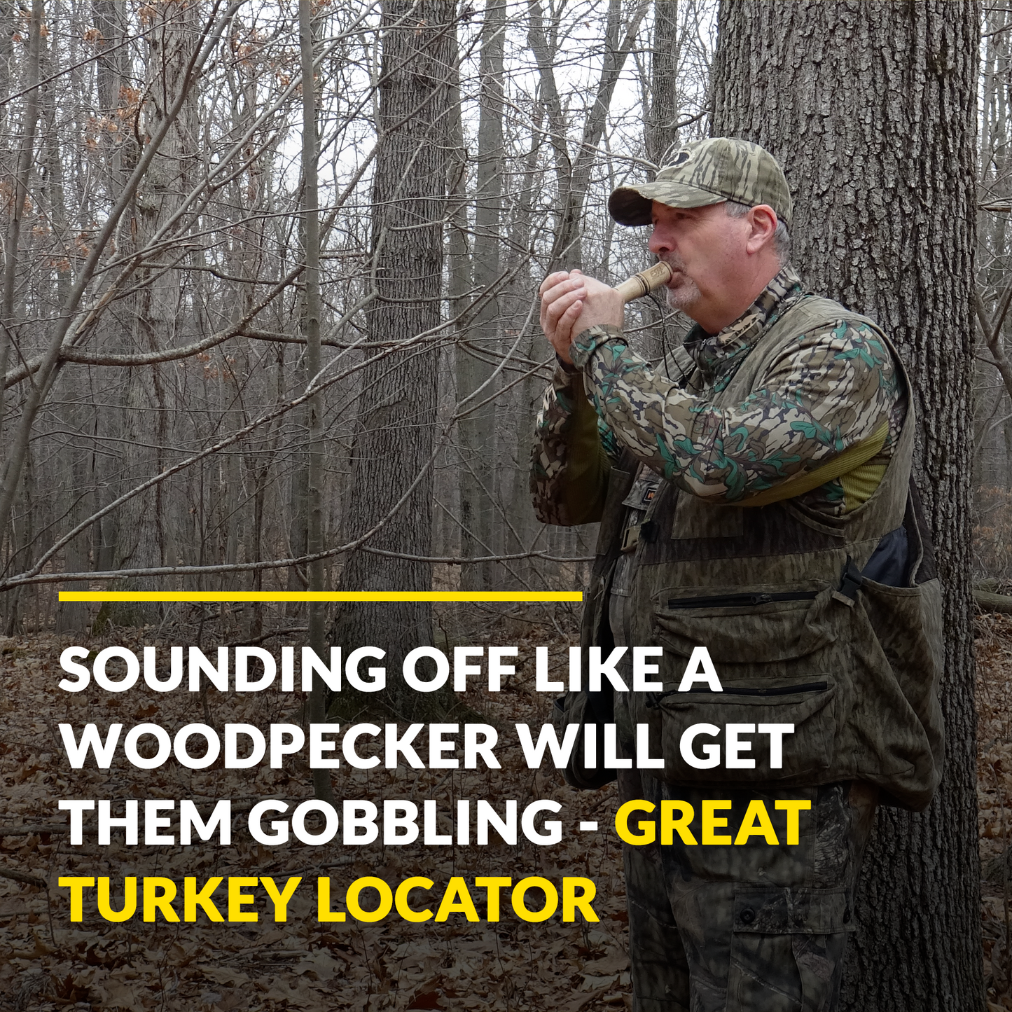 Outdoor Hunting Lab Woodpecker Locator Call