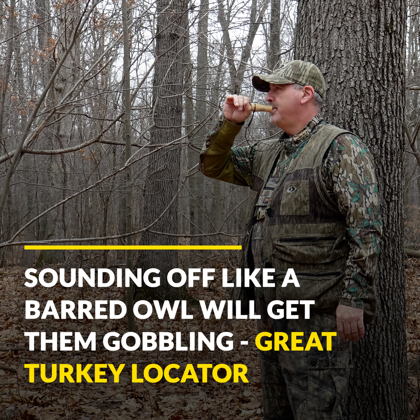 Outdoor Hunting Lab Pure Owl Call - Turkey Locator