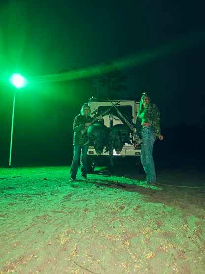 Langy Solar Green Feeder Light for Hunting -12,000 lumens