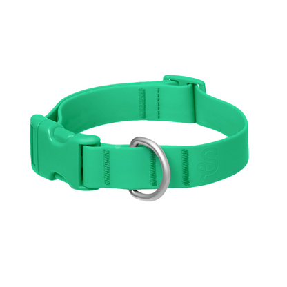 Springland Pets Waterproof Dog Collar