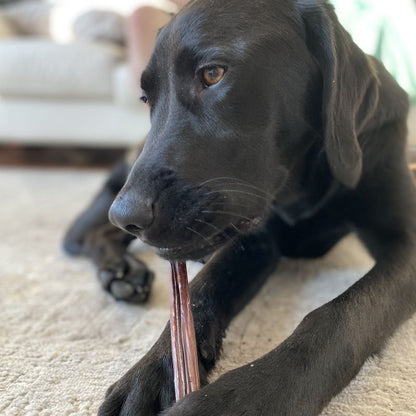 Bully Bunches - 12 Inch Beef Jerky Stick