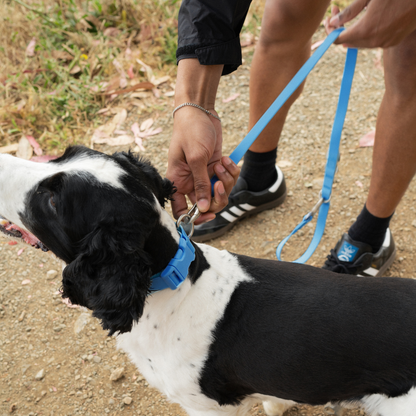 Springland Pets Waterproof Dog Collar
