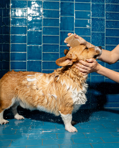 Springland Pets Nourishing Dog Shampoo Bar