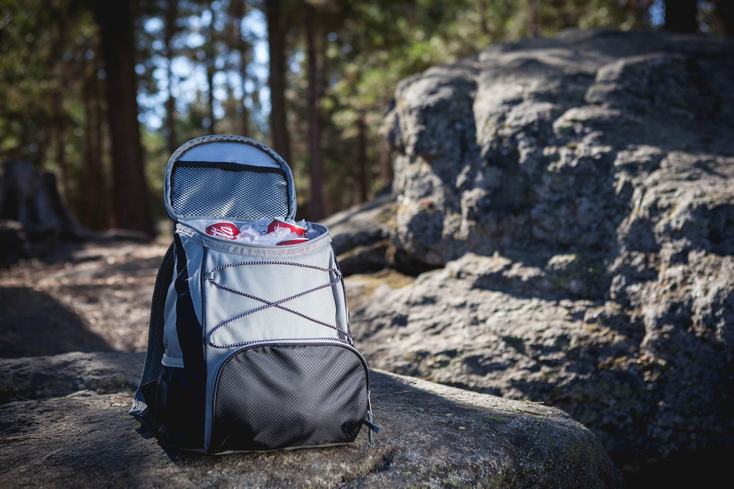 Picnic Time PTX Backpack Cooler