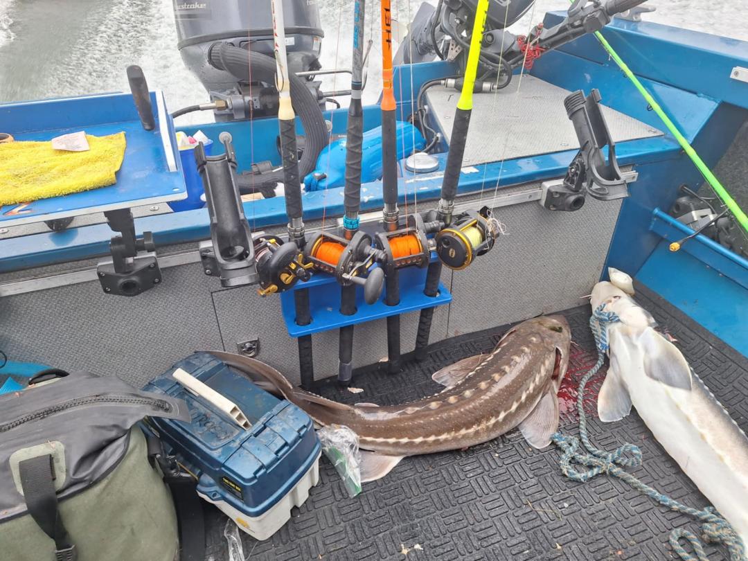 Fat Fish Designz Short Stack Vertical Fishing Rod Holder 3 or 4 rod (with or w/o track mount)