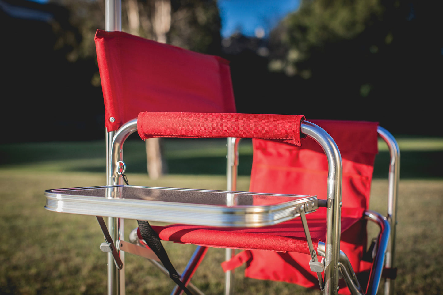 Picnic Time Sports Chair