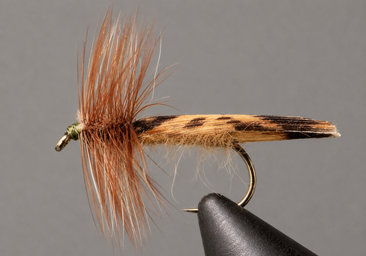 Stone Creek King River Caddis