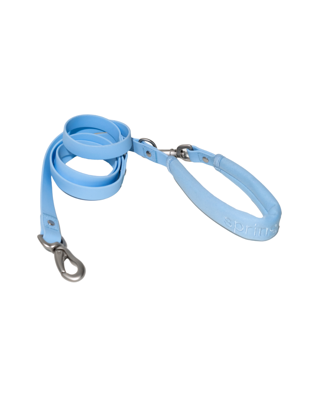Springer Dog Leash