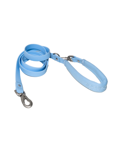 Springer Dog Leash
