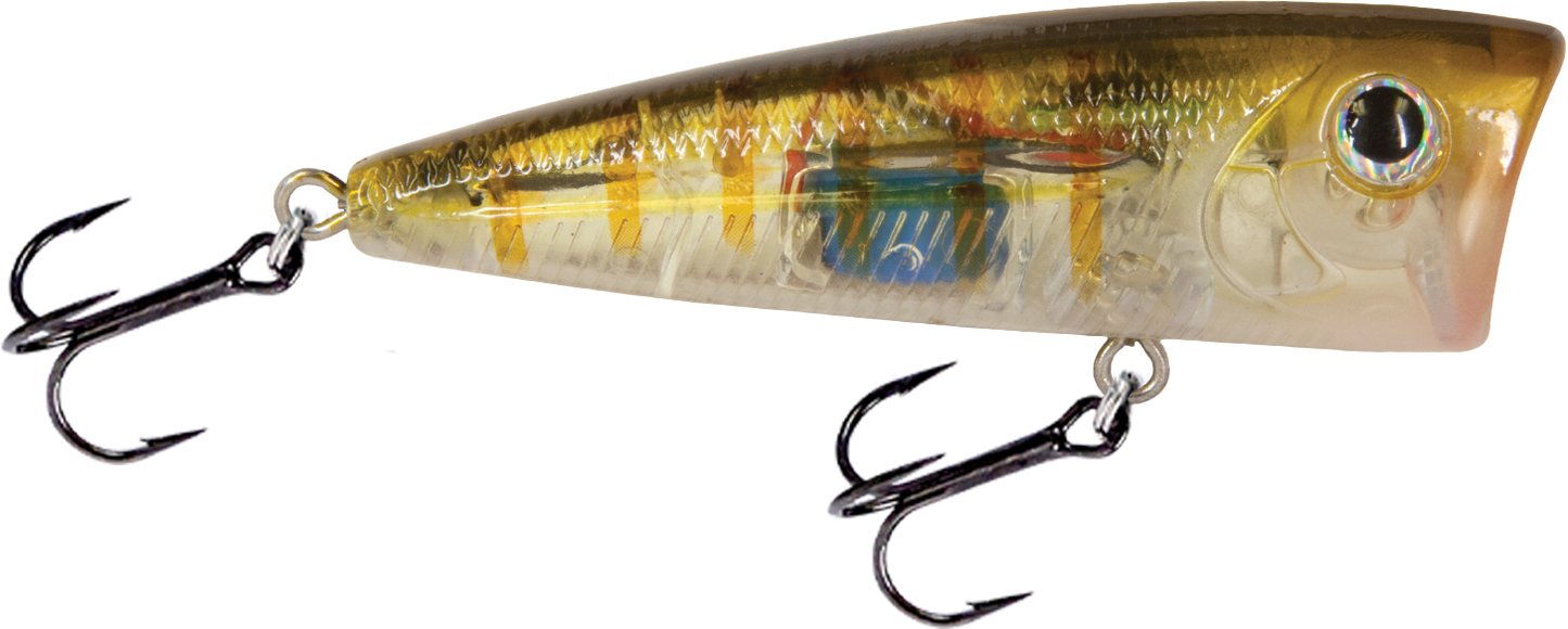 Livingston Lures WALK N POP 77