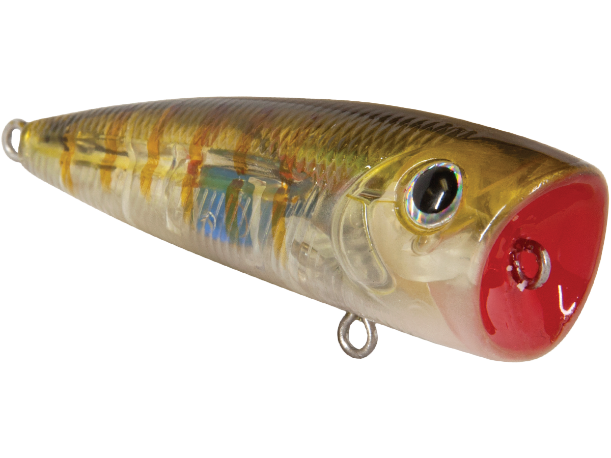 Livingston Lures Walk N Pop 67