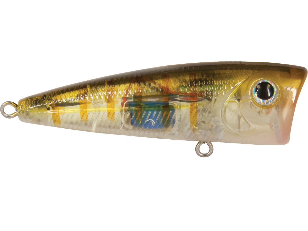 Livingston Lures Walk N Pop 67