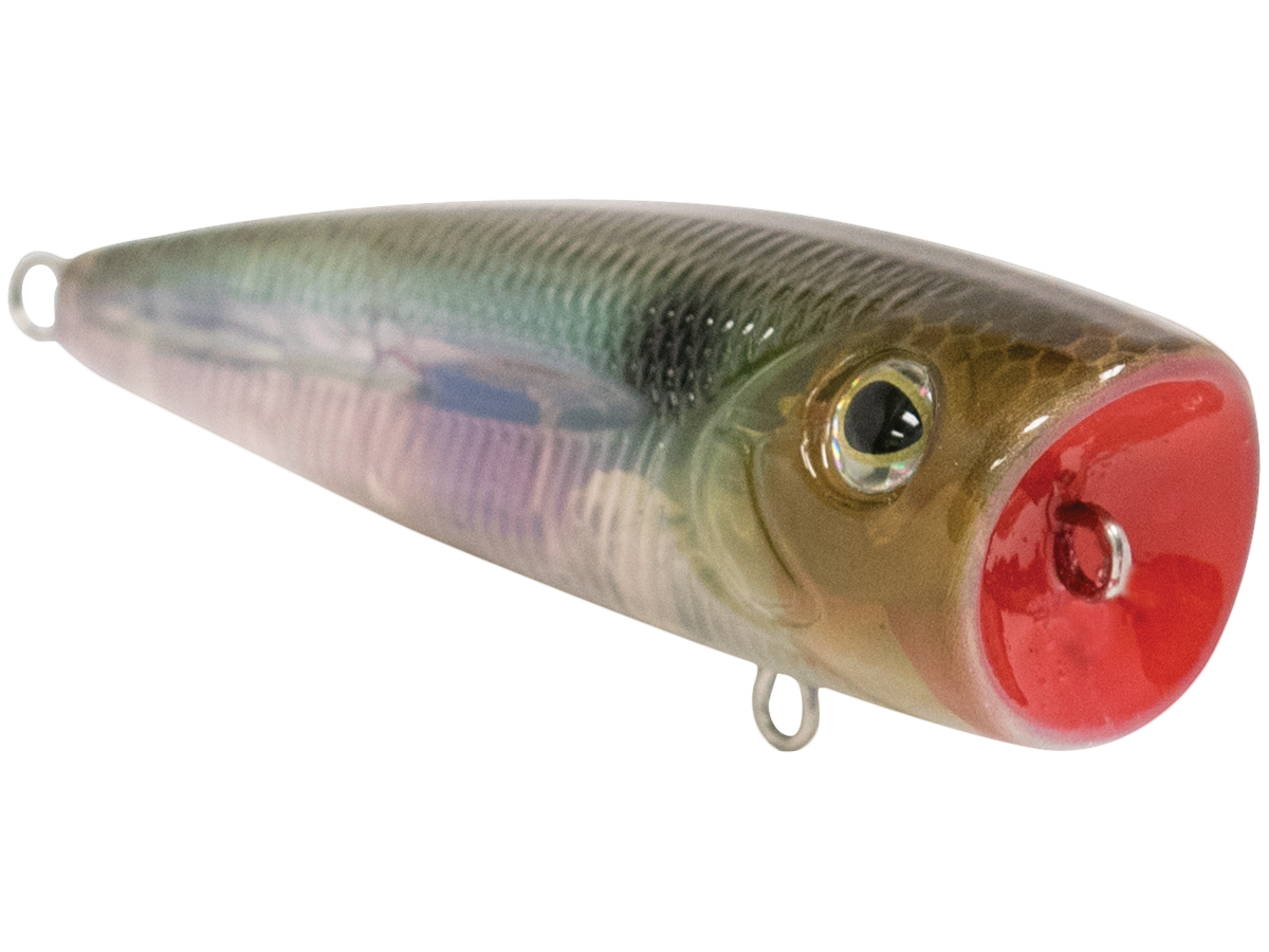 Livingston Lures Walk N Pop 67