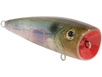 Livingston Lures Walk N Pop 67