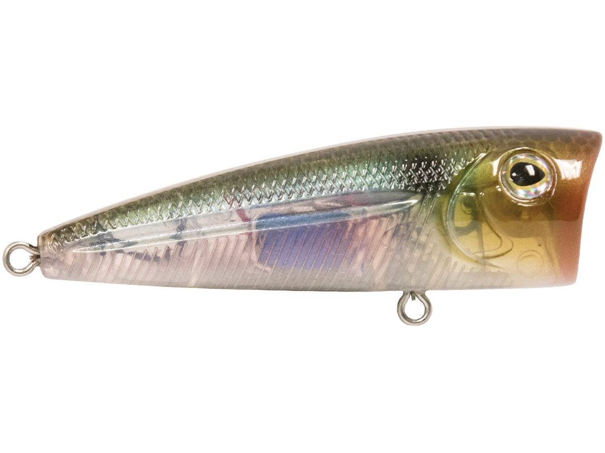 Livingston Lures Walk N Pop 67