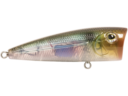 Livingston Lures Walk N Pop 67