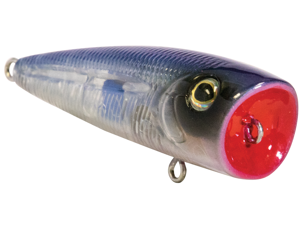 Livingston Lures Walk N Pop 67