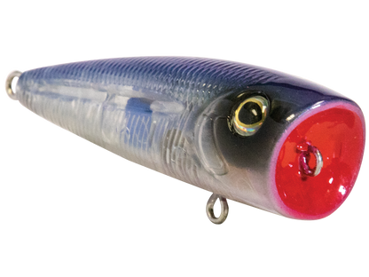 Livingston Lures Walk N Pop 67