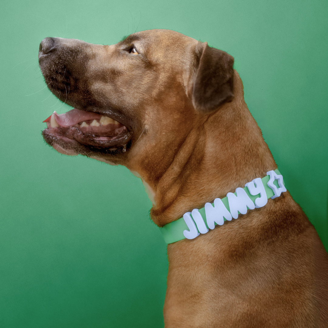 Springland Pets Waterproof Dog Collar