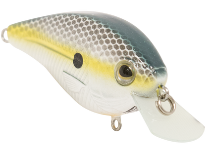 Livingston Lures FlatMaster SQ