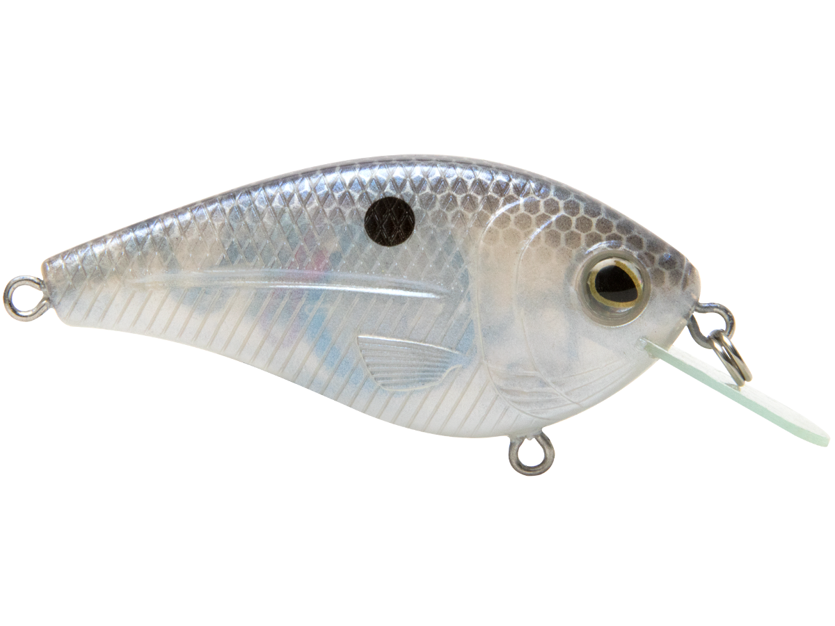 Livingston Lures FlatMaster SQ
