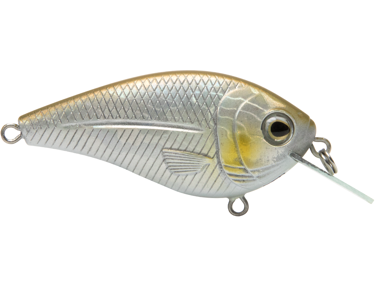 Livingston Lures FlatMaster SQ