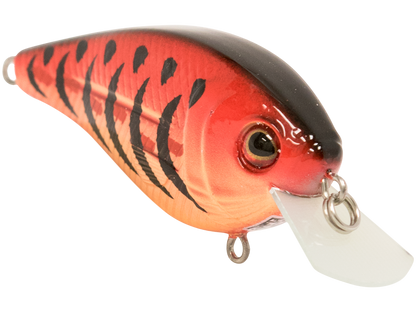 Livingston Lures FlatMaster SQ