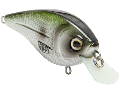 Livingston Lures FlatMaster SQ