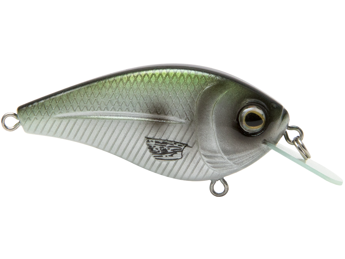 Livingston Lures FlatMaster SQ