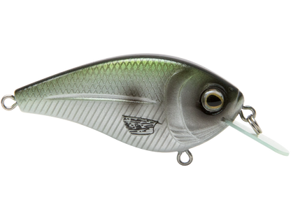 Livingston Lures FlatMaster SQ