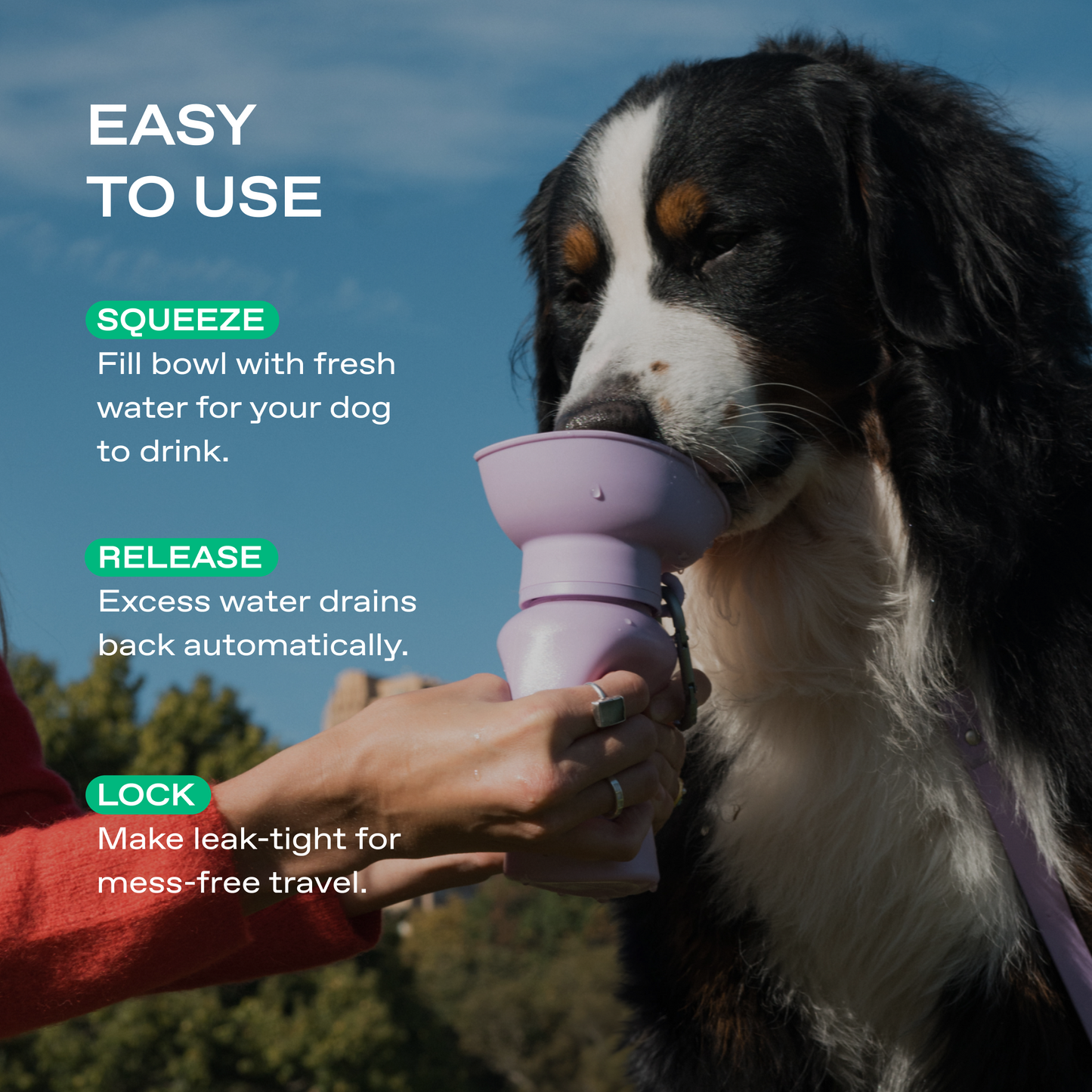 Springland Pets 20oz Flip Dog Travel Water Bottle