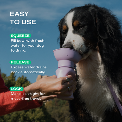 Springland Pets 20oz Flip Dog Travel Water Bottle
