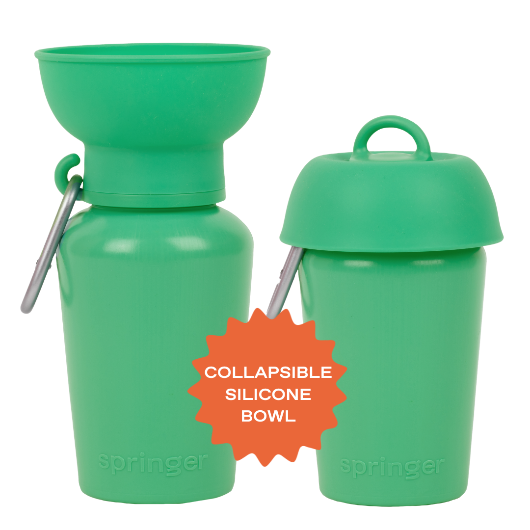 Springland Pets 20oz Flip Dog Travel Water Bottle