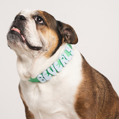 Springland Pets Waterproof Dog Collar