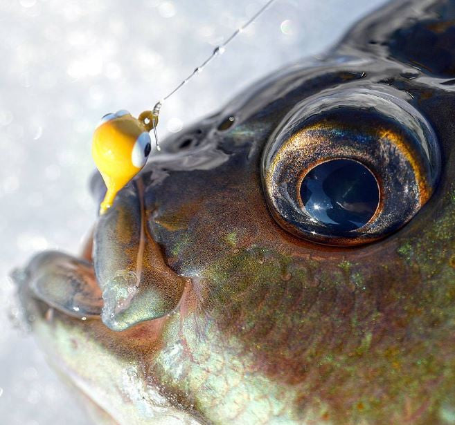 Kenders - School Bus Yellow Tungsten Jig